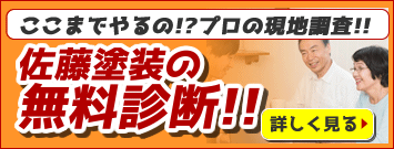 ここまでやるの？現地調査！