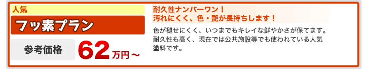 施工費用　フッ素プラン　62万円〜