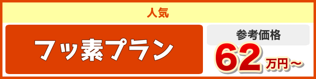 施工費用　フッ素プラン　62万円〜